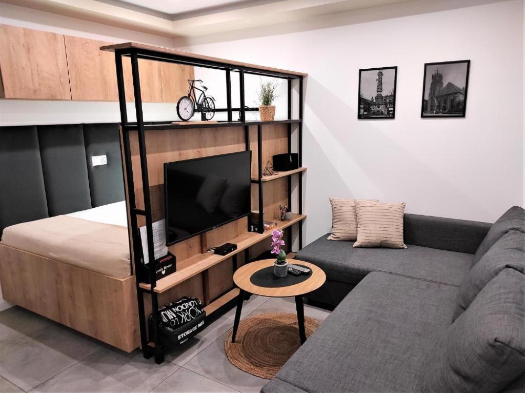 Apartamenty Marianska 103 Racibórz Exteriér fotografie
